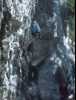 [thumbnail of Picture 2]