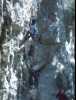 [thumbnail of Picture 3]
