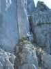 [thumbnail of Picture 1]