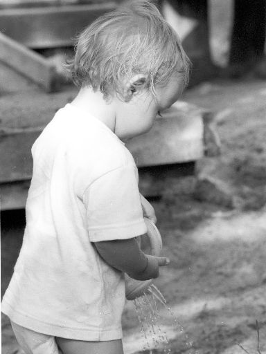 Image2488.web.jpg