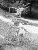 [thumbnail of Picture 5]