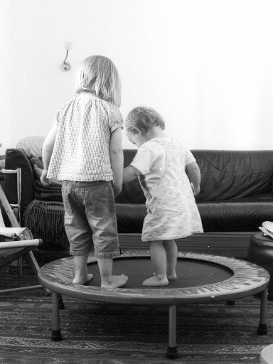 Image2494.web.jpg