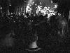 [thumbnail of Picture 19]