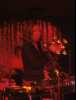 [thumbnail of Picture 14]