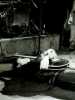 [thumbnail of Picture 32]