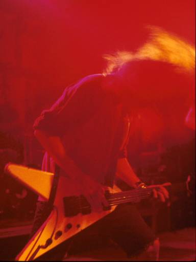 Image37.web.jpg