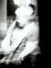 [thumbnail of Picture 11]
