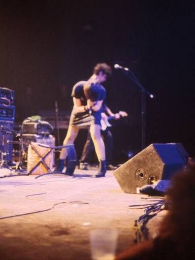 Image33.web.jpg