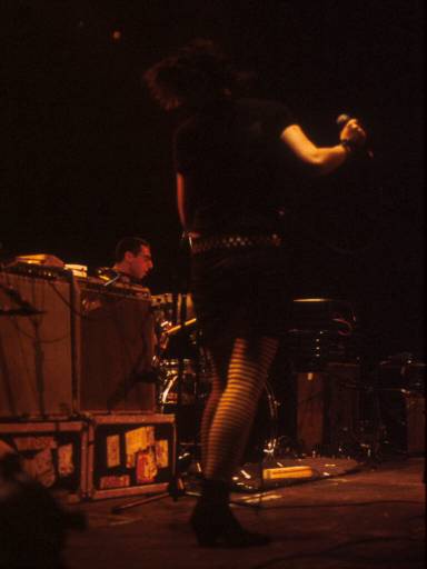 Image37.web.jpg