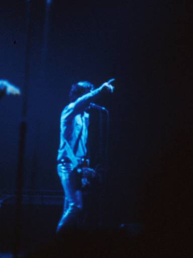Image44.web.jpg