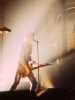 [thumbnail of Picture 36]