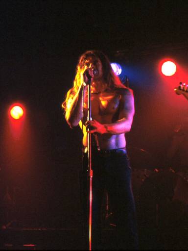Image35.web.jpg