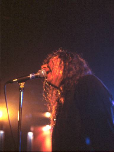 Image56.web.jpg