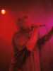 [thumbnail of Picture 14]
