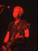 [thumbnail of Picture 23]