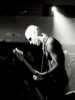 [thumbnail of Picture 27]
