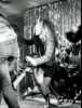 [thumbnail of Picture 36]