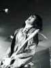 [thumbnail of Picture 40]