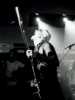 [thumbnail of Picture 53]