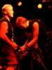 [thumbnail of Picture 24]