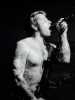 [thumbnail of Picture 17]