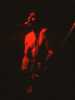 [thumbnail of Picture 30]