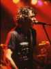 [thumbnail of Picture 11]