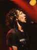 [thumbnail of Picture 14]