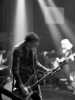 [thumbnail of Picture 17]