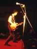 [thumbnail of Picture 12]
