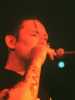 [thumbnail of Picture 32]