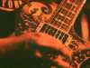 [thumbnail of Picture 35]