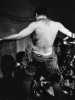 [thumbnail of Picture 13]