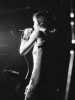 [thumbnail of Picture 8]