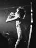 [thumbnail of Picture 9]