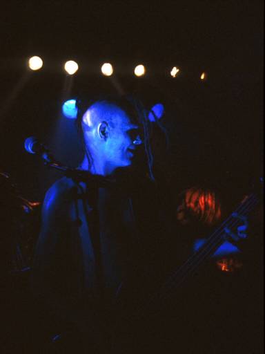 Image24.web.jpg