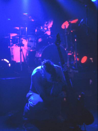Image35.web.jpg