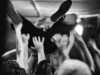 [thumbnail of Picture 19]