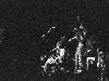 [thumbnail of Picture 5]