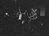 [thumbnail of Picture 18]