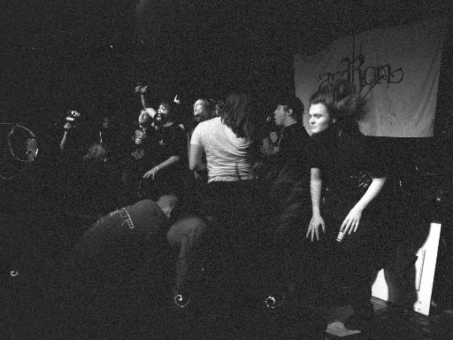 Image2661.web.jpg