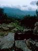 [thumbnail of Picture 19]