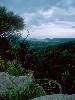 [thumbnail of Picture 20]