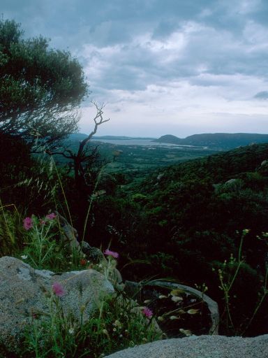 Image2929.web.jpg