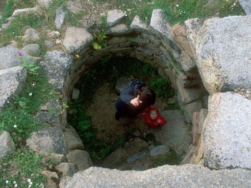 Image2931.web.jpg