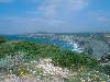 [thumbnail of Picture 26]
