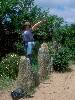 [thumbnail of Picture 33]