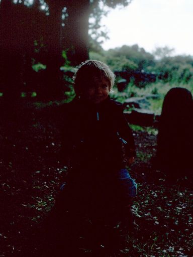 Image2825.web.jpg