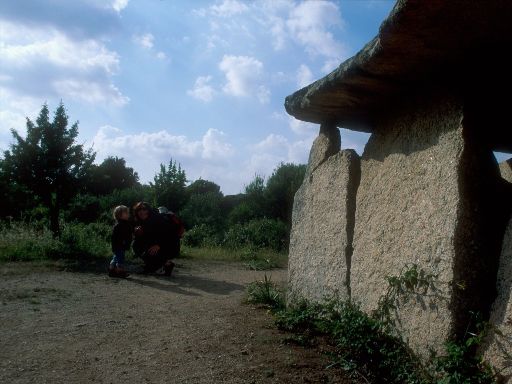 Image2832.web.jpg