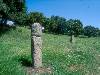 [thumbnail of Picture 15]